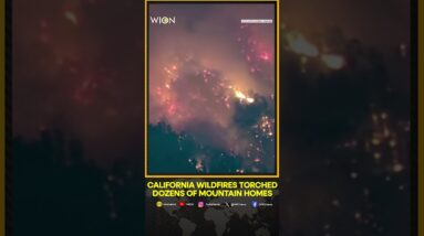 California wildfires torched dozens of mountain homes | WION Shorts