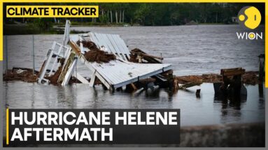 Hurricane Helene: Hurricane Kills At Least 90 In U.S.A, 3Mn Without Power | WION Climate Tracker