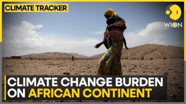 Extreme climate events in the African continent | WION Climate Tracker | WION News