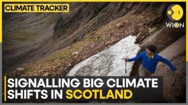 Scotland's 'sphinx' snow patch is vanishing | WION Climate Tracker | World News | WION