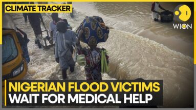 Floods killed more than 30 people in Nigeria | WION Climate Tracker | World News | WION