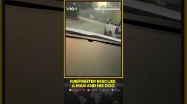 Video captures firefighter rescuing man and dog from wildfire | WION Shorts