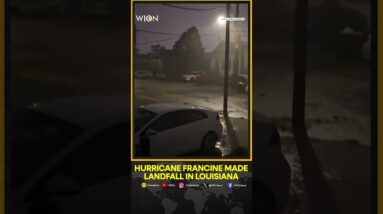 Eyewitness captures fierce winds and rain as Hurricane Francine hits New Orleans | WION Shorts