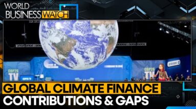 India outshines developed nations in climate funding | World Business Watch | WION News