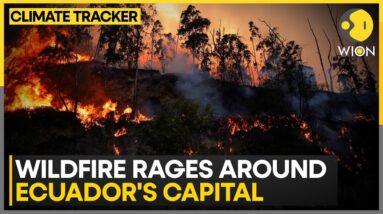 Quito Declares Emergency Due to Intense Fires | WION Climate Tracker | World News | WION