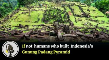 If not humans who built Indonesia's Gunung Padang pyramid? I WION Podcast