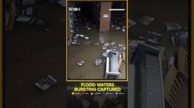 Flood waters bursting into Smithtown library captured | WION Shorts