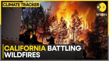 California: Wildfires burn through mountainous regions | WION Climate Tracker