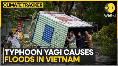 Vietnam: Death toll from Typhoon Yagi rises to 24 | Latest English News | WION Climate Tracker