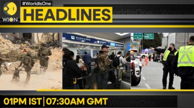 Demand for probe against IDF killing | Argentina: Strike affects 150 flights | WION Headlines