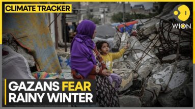 Gaza: People are vulnerable to diseases | WION Climate Tracker