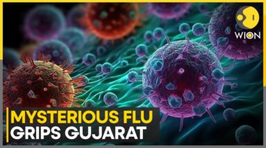 India: Mysterious flu in Gujarat kills at least 13 within days of heavy rains | English News | WION