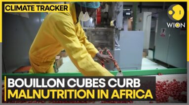 Climate change and food security in Africa | WION Climate Tracker | World News | WION