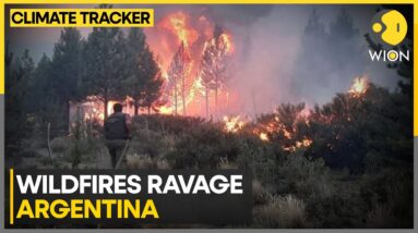 Argentina Wildfires Ravage Homes As Residents Call For Emergency Declaration | WION Climate Tracker