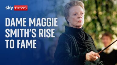 How Dame Maggie Smith garnered a new generation of fans