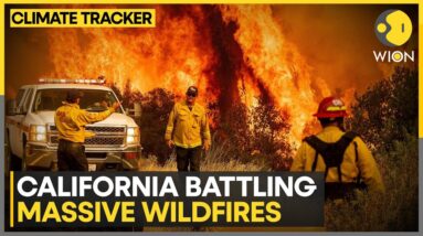 California: Firefighters continue to battle out-of-control wildfires | WION Climate Tracker