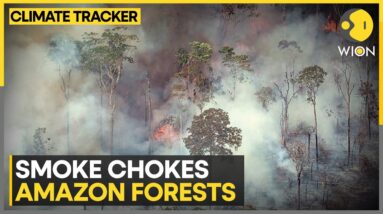 Amazon wildfires spew toxic smoke across brazil | WION Climate Tracker | WION News