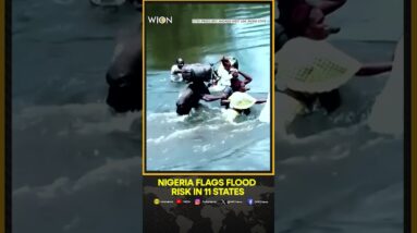 Nigeria flags flood risk in 11 states as Cameroon prepares to release dam water | WION Shorts