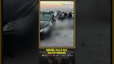 Israel kills six Palestinians in West Bank | WION Shorts | WION News