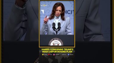 Kamala Harris condemns Donald Trump's mass deportation plan | WION Shorts