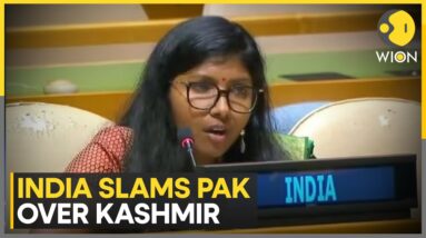 Indian Envoy Warns Pakistan Against Cross-border Terrorism at UNGA | Latest English News | WION