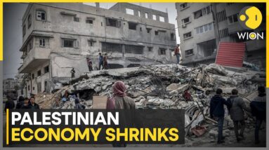 Israel-Hamas War: 'Palestinian economy in free-fall', UN urges action | WION News