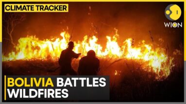 Brazilian firefighters support firefighters in Bolivia | WION Climate Tracker