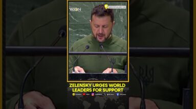 'Putin Has Stolen Much Already, But He Will Never Steal The World's Future': Zelensky at UN Summit