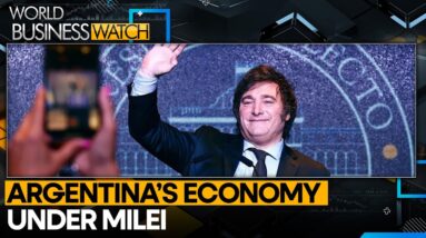 Argentina's economic forecast: 3.2% GDP decline, 123% annual inflation | World Business Watch