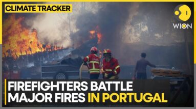 Drivers stranded as firefighters battle wildfires in Portugal | WION Climate Tracker