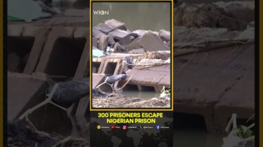 Nearly 300 prisoners escape Nigerian prison after floods | WION Shorts