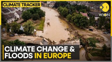 New Report Finds Floods-Climate Change Link | WION Climate Tracker