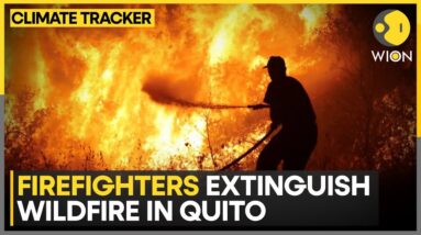 Raging forest fires spread in Ecuador | WION Climate Tracker | World News | WION