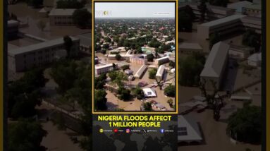 Nigeria Floods affect 1 million people | WION Shorts