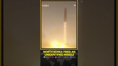 North Korea fired an unidentified missile | WION Shorts