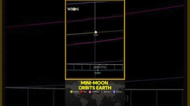 Earth to Get Temporary ‘Mini-Moon’ From September 29 To November 25 | WION Shorts