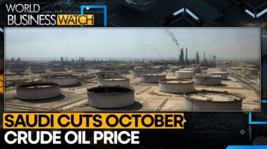 Saudi cuts October crude oil price to Asia as demand wanes | World Business Watch | WION