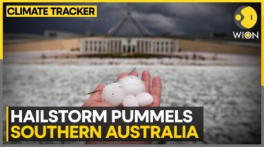 One dead as storms hit Australia's Southeast | WION Climate Tracker