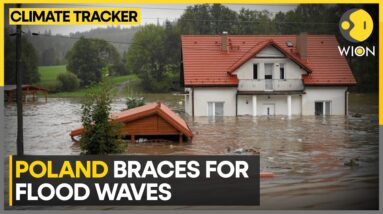 Poland Floods: Residents Hope 'Homes Are Liveable Again' | WION Climate Tracker | WION