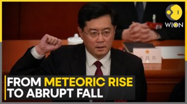 China's disappeared foreign minister Qin Gang demoted to low-level publishing job | WION News