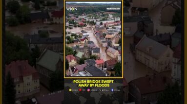 Drone shows before-and-after of Polish bridge swept away by floods | WION Shorts