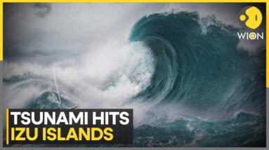 Japan: Tsunami hits Izu Islands after earthquake | Latest English News | WION