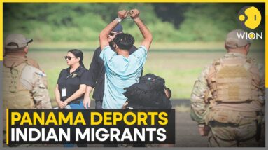 Panama deports 130 Indian migrants under deal with US | Latest News | WION