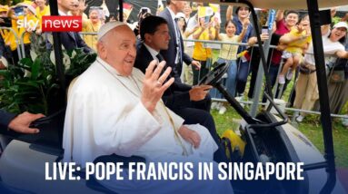 Pope Francis presides over Mass at Singapore National Stadium - Watch live