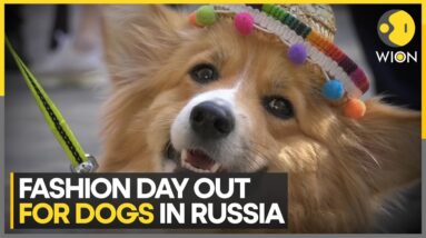 Petshop day: Russia's biggest pet festival | WION