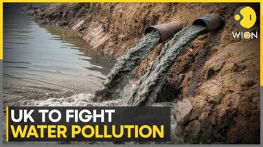 UK aims to stop water pollution with tougher penalties, stronger regulation | English News | WION