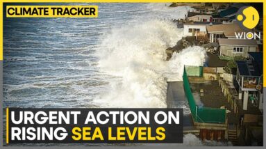 UN: Calls For Urgent Action On Sea Level Rise | WION Climate Tracker | World News | WION