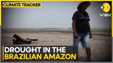 River dries in drought hit Brazilian Amazon | WION Climate Tracker