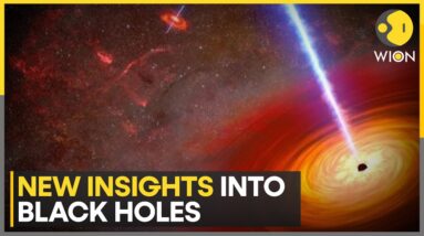 Astronomers find a rare black hole that defies current theories | Latest News | WION