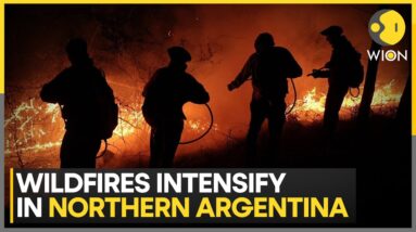 Argentina Wildfires: Over 200 Firefighters Deployed To Tame The Intense Forest Fires | WION